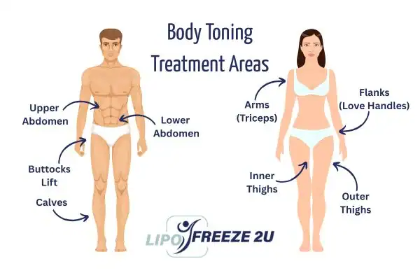 Graphic showing where you can have Body toning Treatment Lincolnshire on your body